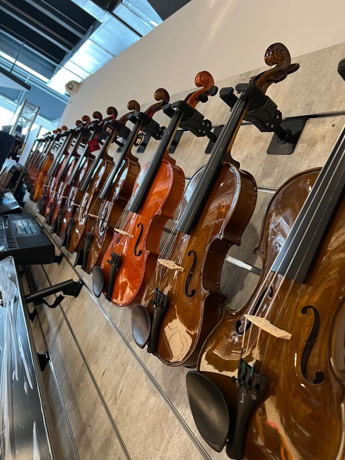 Violini e violoncelli esposti a parete